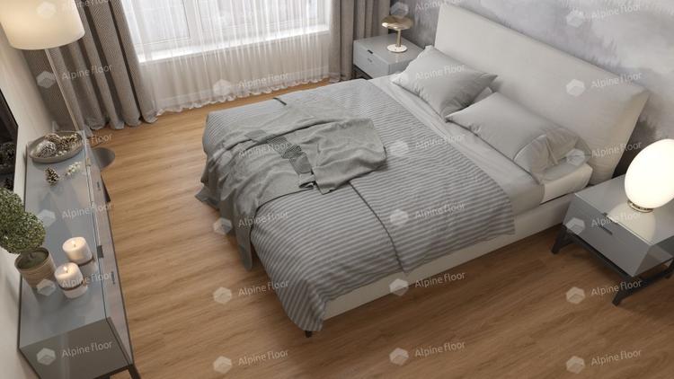 ДУБ РЫЖИЙ